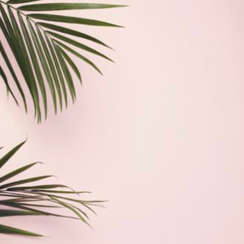 Meet your Posher, Angelina